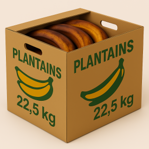 Banane Plantain Carton 22.5 Kg