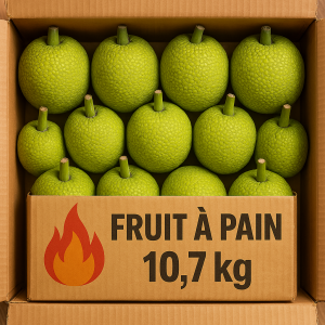 Fruit à pain 10.7kg