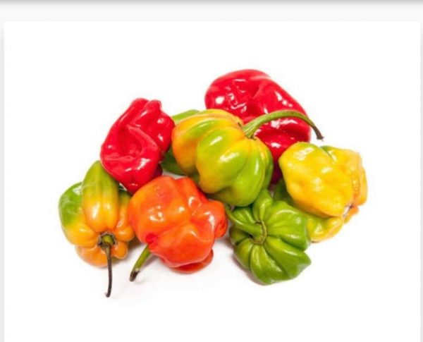 Piment Antillais Frais 4KG